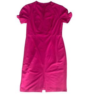 Maggy London Petite Size 14P Pink Sheath Dress V Neck Ruffle Short Sleeve